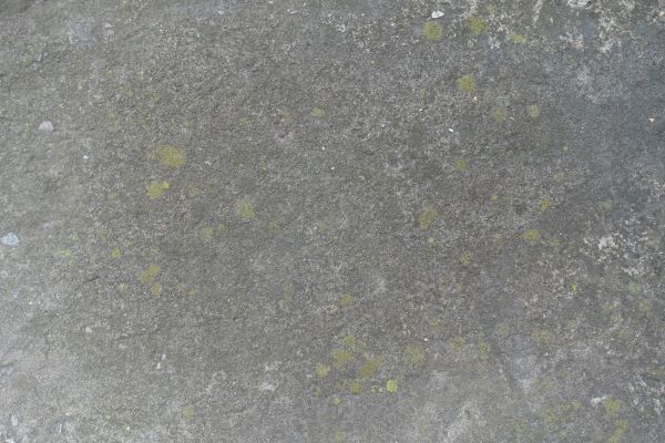 Cost of Slab Staining Service in American Fork